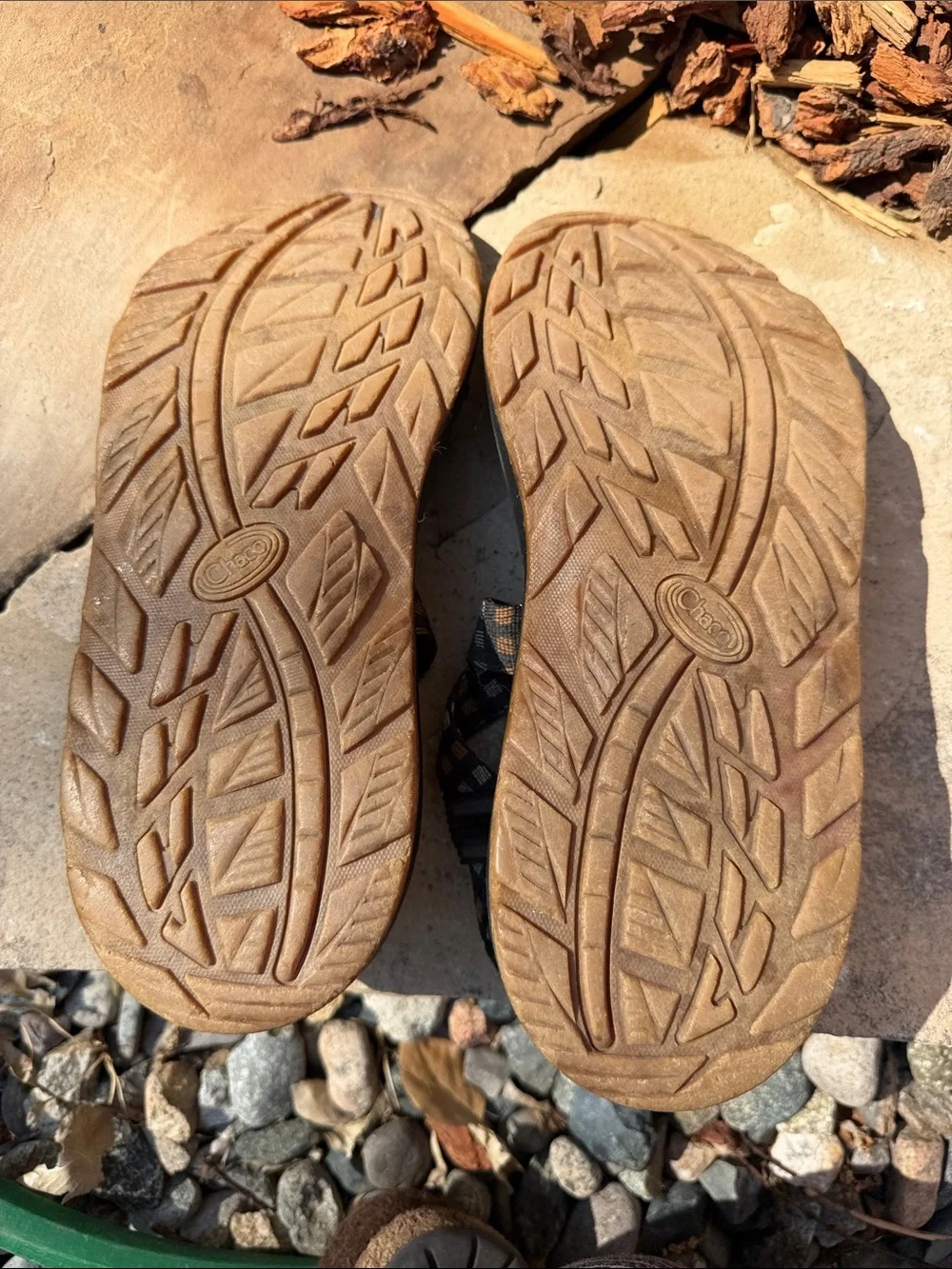 Chaco Black Sandals with Brown Check Straps